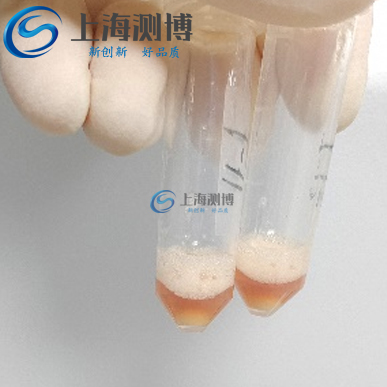 ?科研院所使用冷凍研磨儀對(duì)小鼠皮膚組織研磨實(shí)驗(yàn)|人類疾病研究