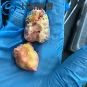 實(shí)驗(yàn)人員在研磨番茄時采用冷凍研磨儀效果如何？能成功嗎？
