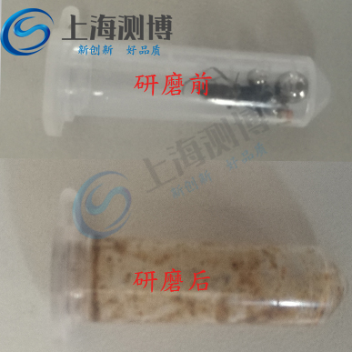 臭蟲研磨提取核酸實驗-多樣品組織研磨機(jī)-上海測博