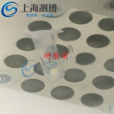 多樣品組織研磨儀能提取玉米DNA嗎？其研磨效果如何？